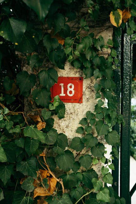 Camping and Hiking Gear